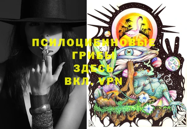MDMA Premium VHQ Ельня